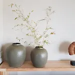Izla
